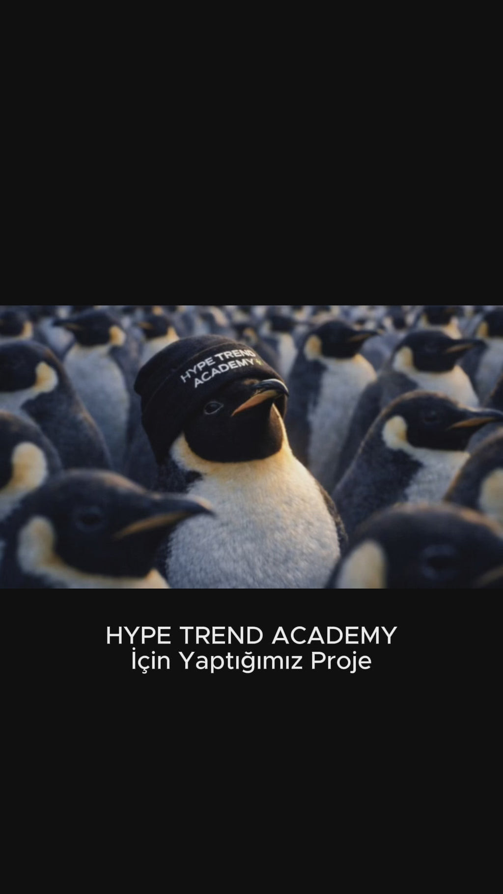 Logonuza Özel - İşletmenizle Uyumlu Viral Penguen Videosu